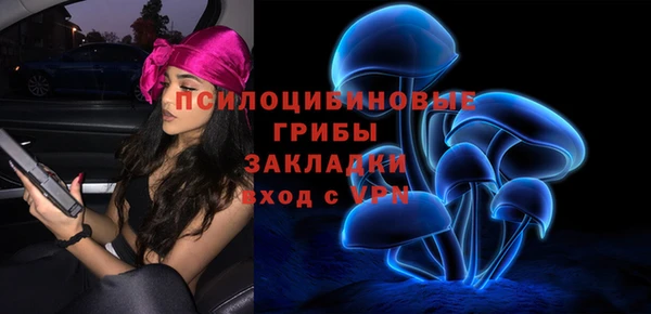 ГАЛЛЮЦИНОГЕННЫЕ ГРИБЫ Алексин