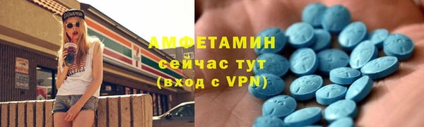 ГАЛЛЮЦИНОГЕННЫЕ ГРИБЫ Алзамай