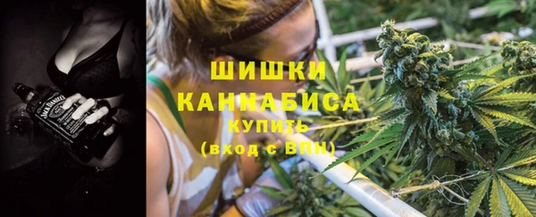 ГАЛЛЮЦИНОГЕННЫЕ ГРИБЫ Алзамай