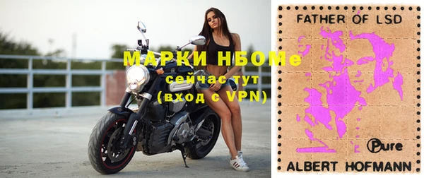 ГАЛЛЮЦИНОГЕННЫЕ ГРИБЫ Алзамай