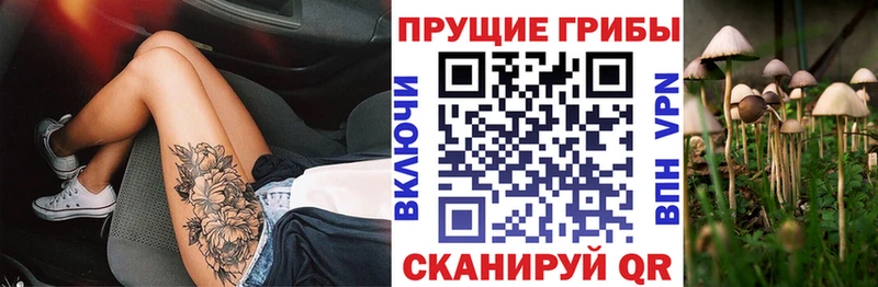 Псилоцибиновые грибы Cubensis Дегтярск